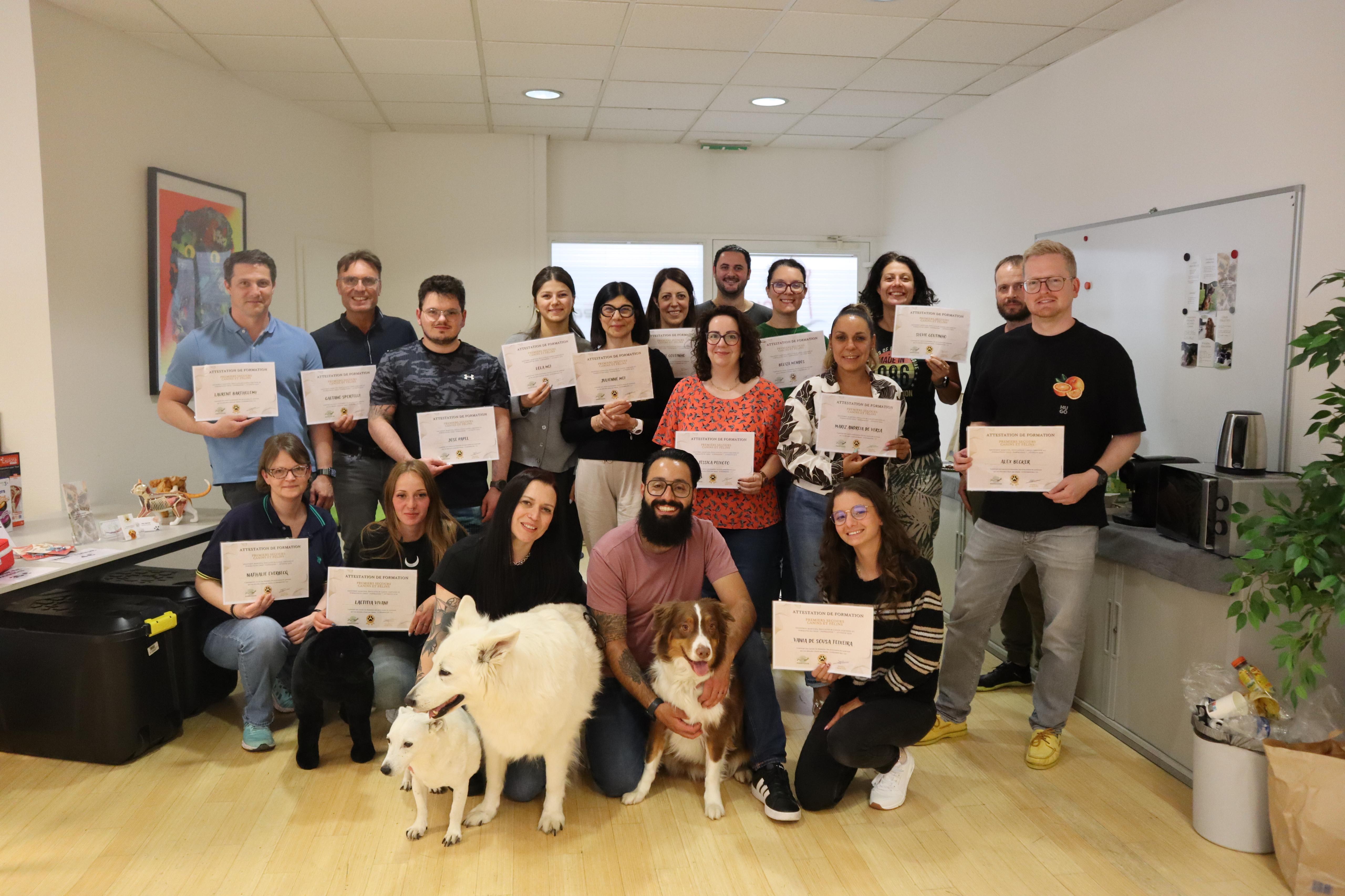 Pawradise Training